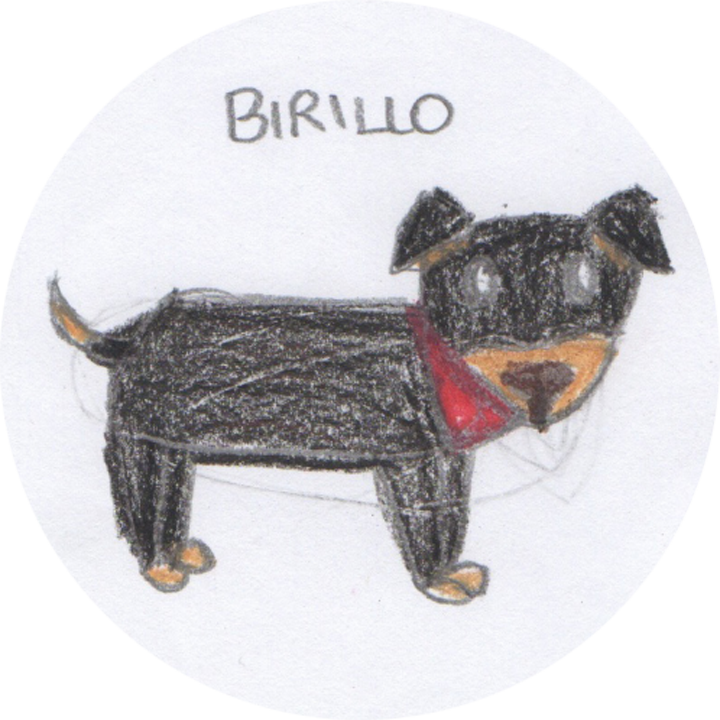 birillo